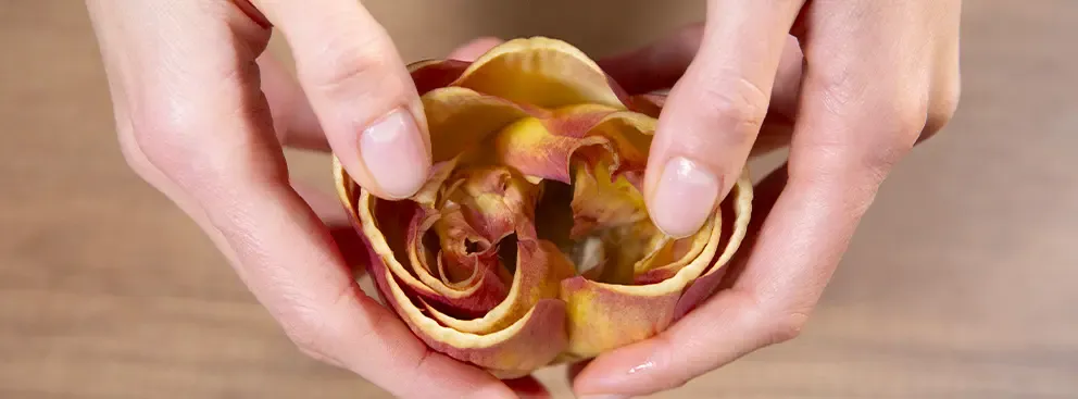 Carciofi alla Giudia